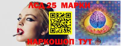 индика Жуковский