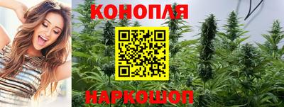 индика Жуковский