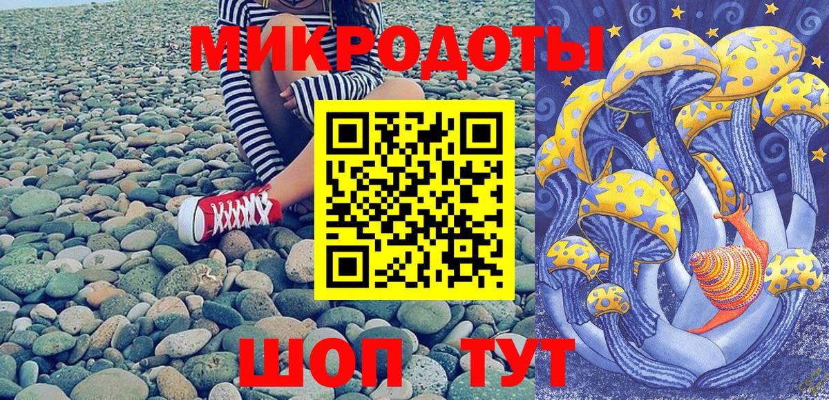 Псилоцибиновые грибы Psilocybe Минусинск
