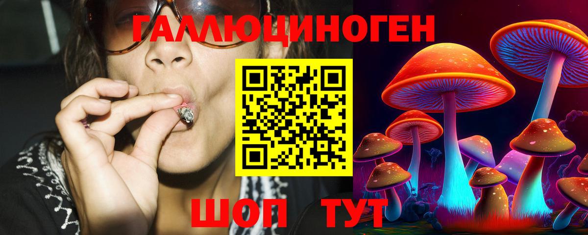 Минусинск  Псилоцибиновые грибы MAGIC MUSHROOMS  Вход с VPN 